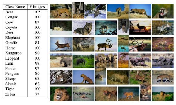 Overview of the the KTH-Animals dataset