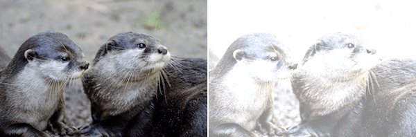 original and result image after increasing the brightness