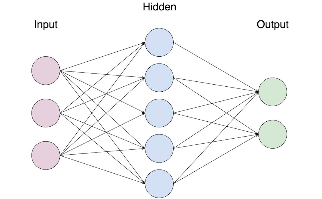 neuronal network scheme